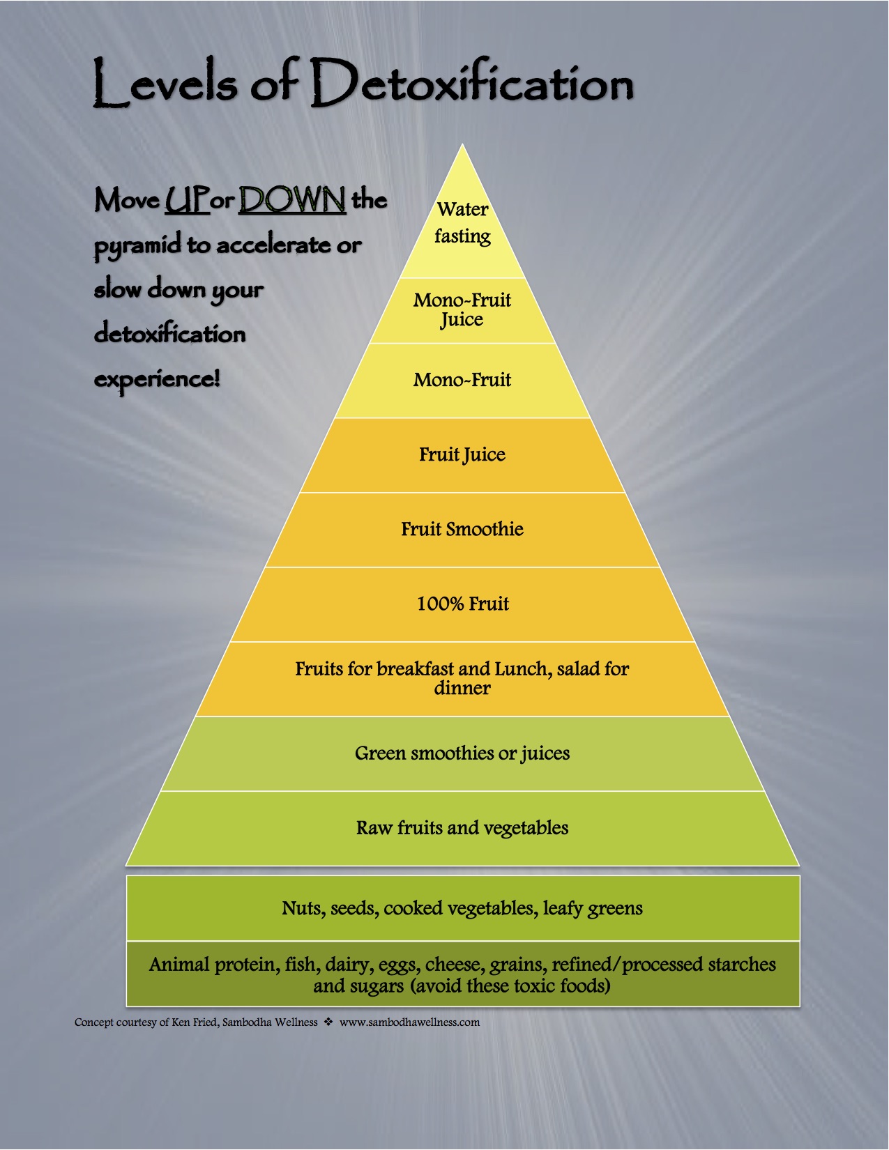 Levels of Detoxification.jpg