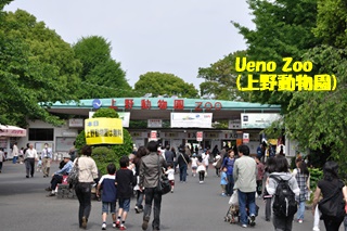 上野動物園320.JPG
