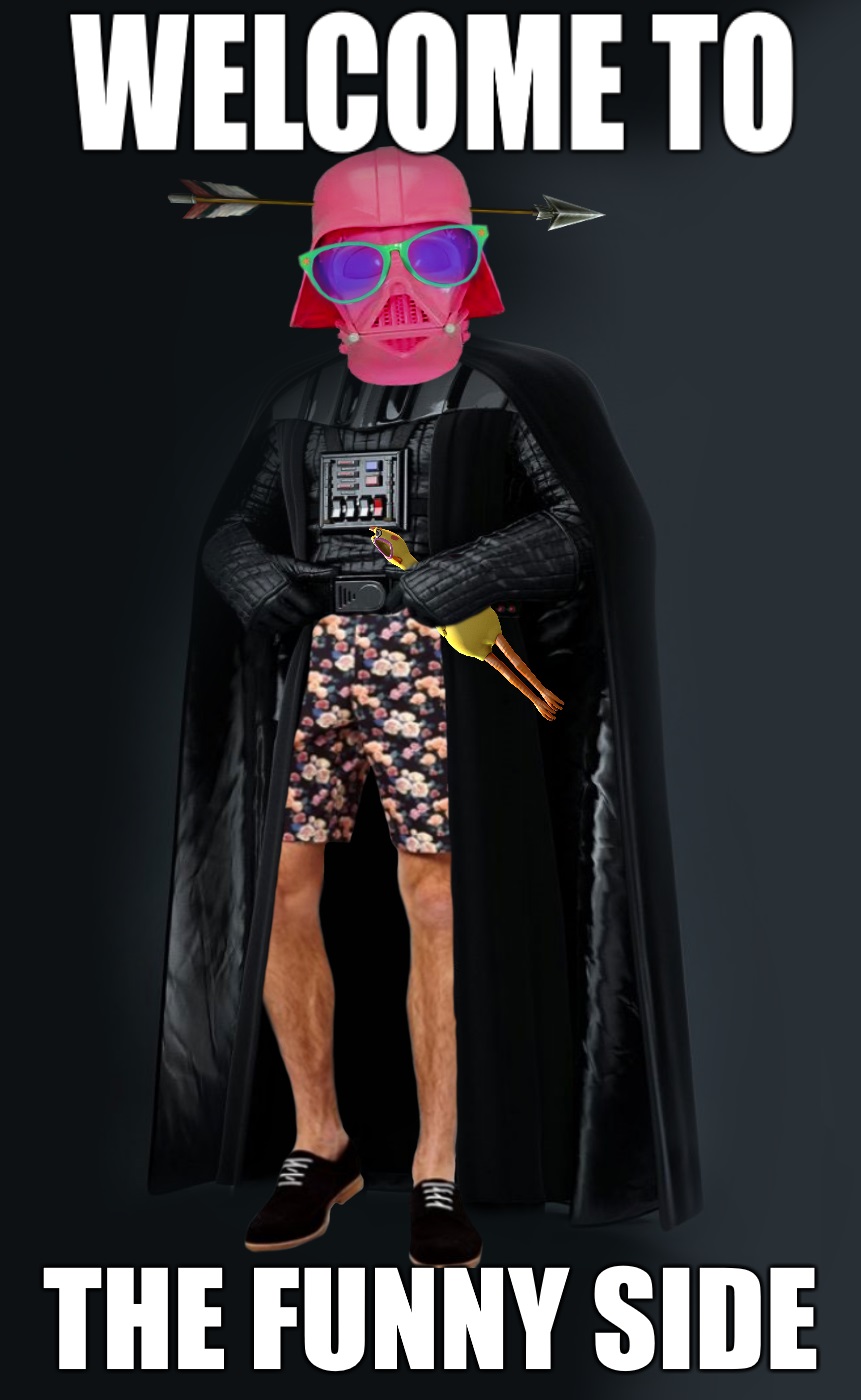 Darth-Vader final flat with  chicken.jpg