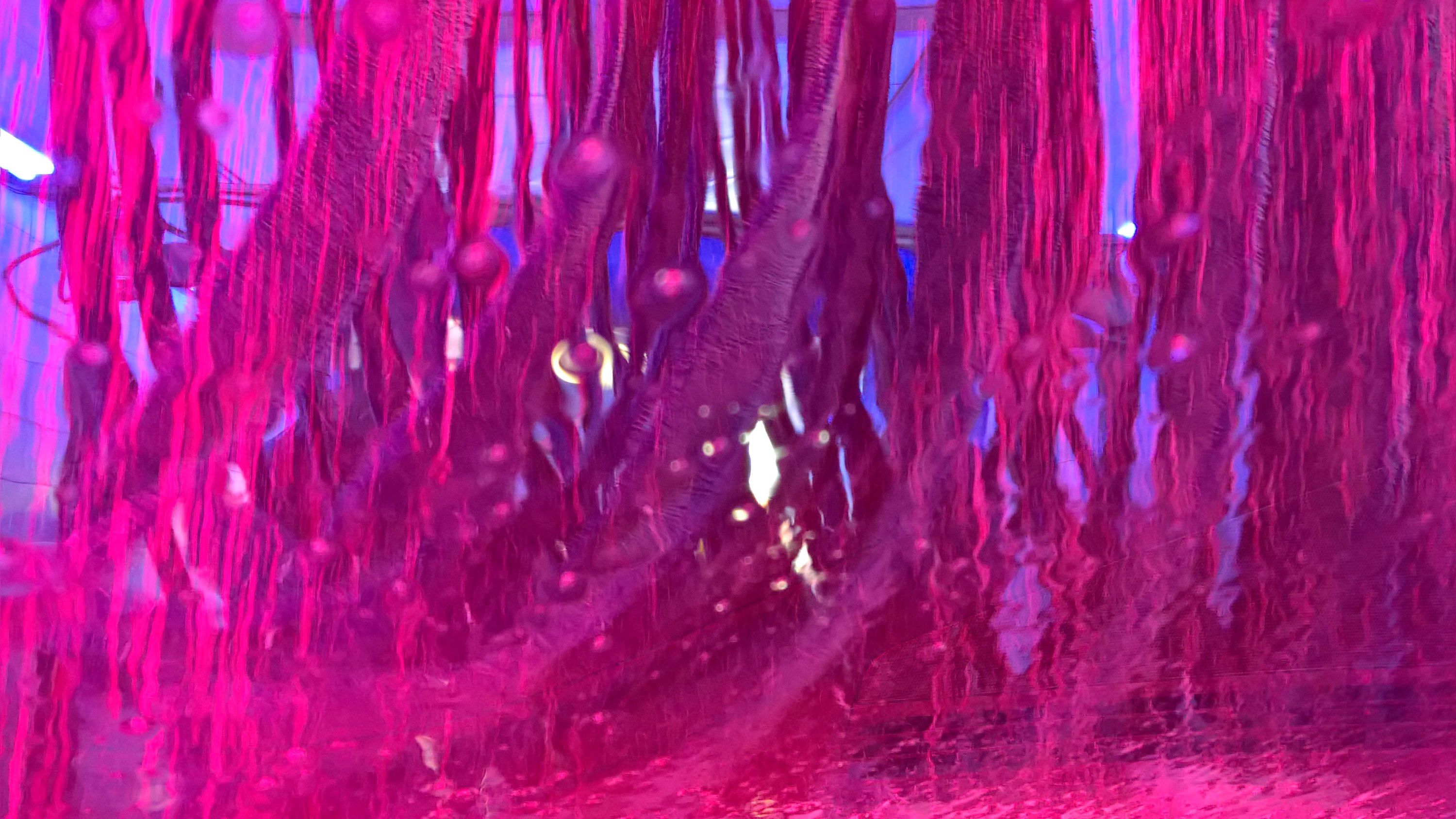 steemit car wash 6.jpg