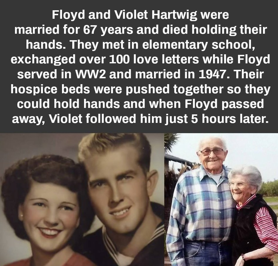 FLOYD AND VIOLET.png