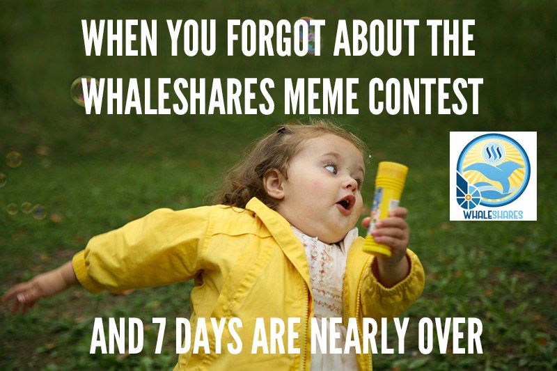 meme_whale.jpg