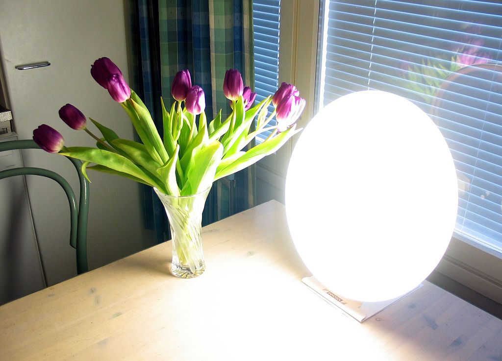 1024px-Bright_light_lamp.jpg