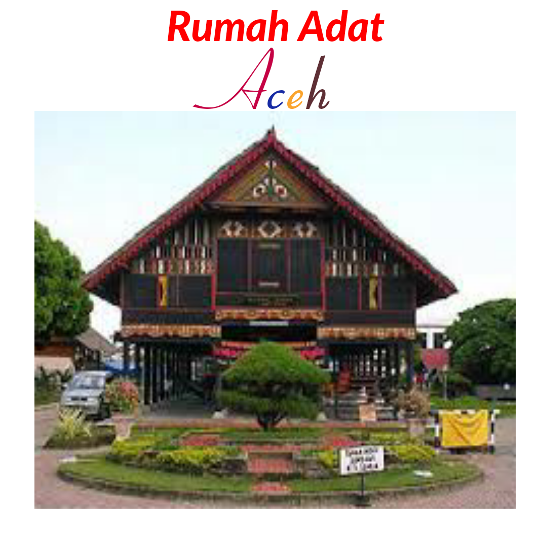Rumah Adat Aceh Steemit