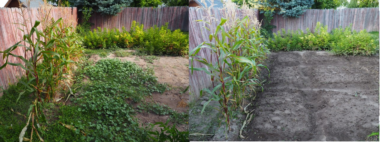 Garden before and after 3.png