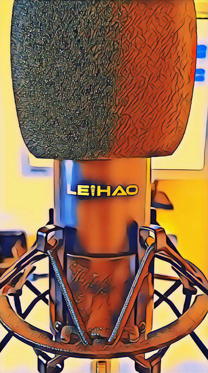 leihao-BM800.jpg
