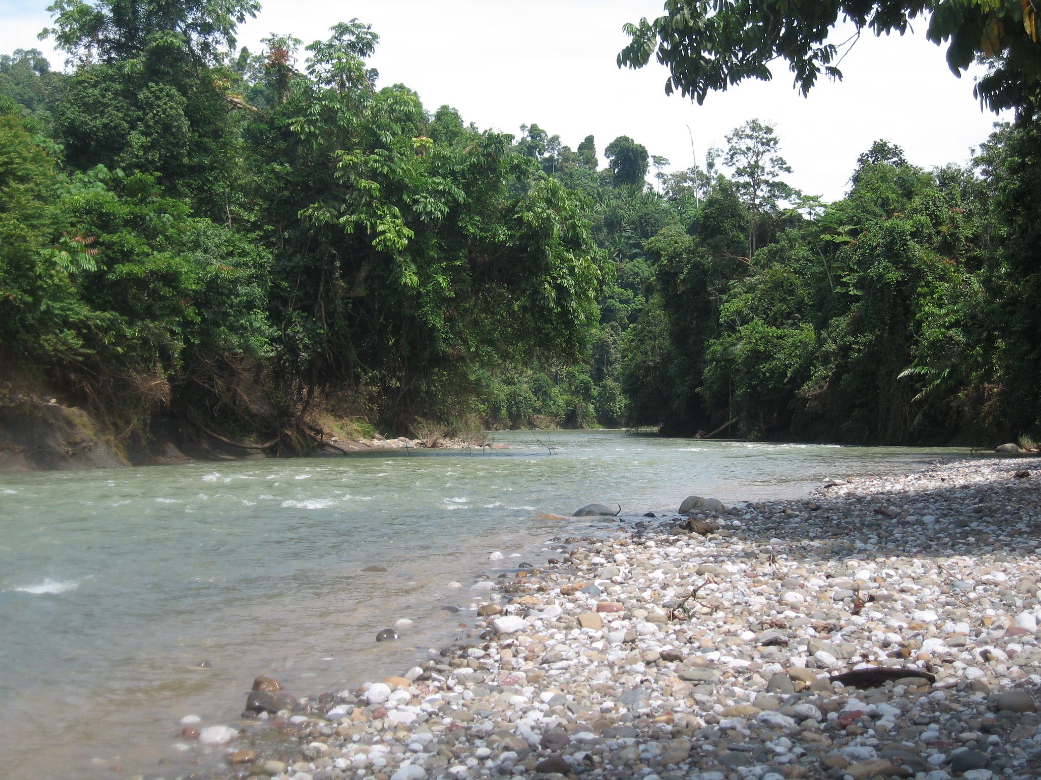 Peek Waduk Kureutoe - North Aceh, The beauty of the extinct with the building of reservoirs.JPG