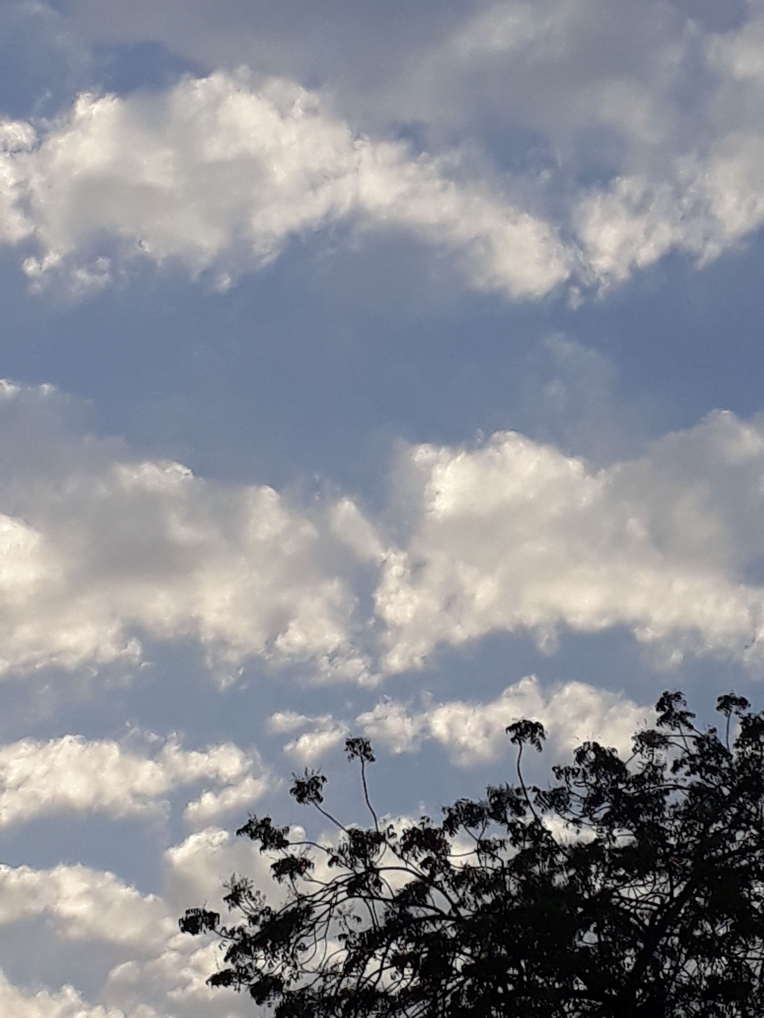 jie28 sky beauty (75).jpg