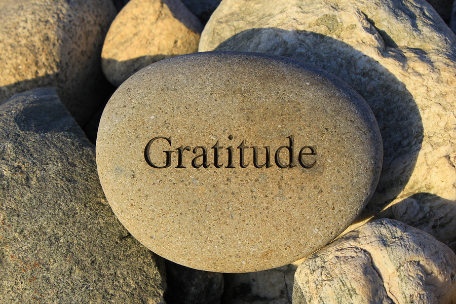 Gratitude-1.jpg