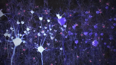 what is thought_flashing neurons animated.gif