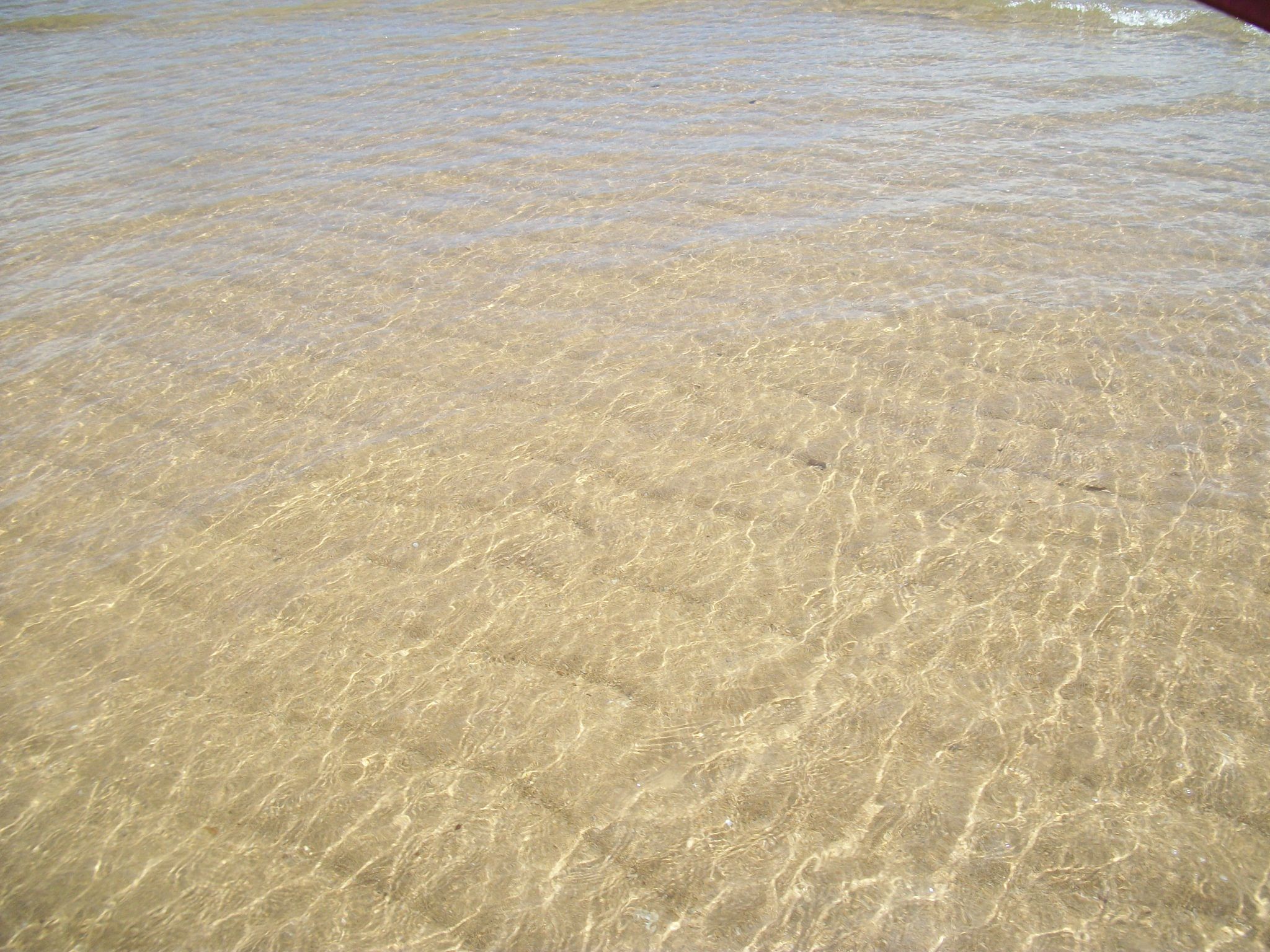 100_3888.JPG