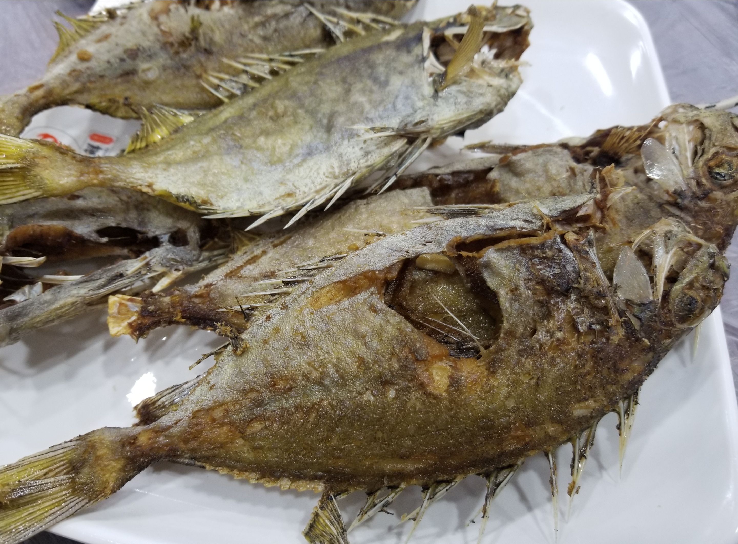 20180216_075936.jpg