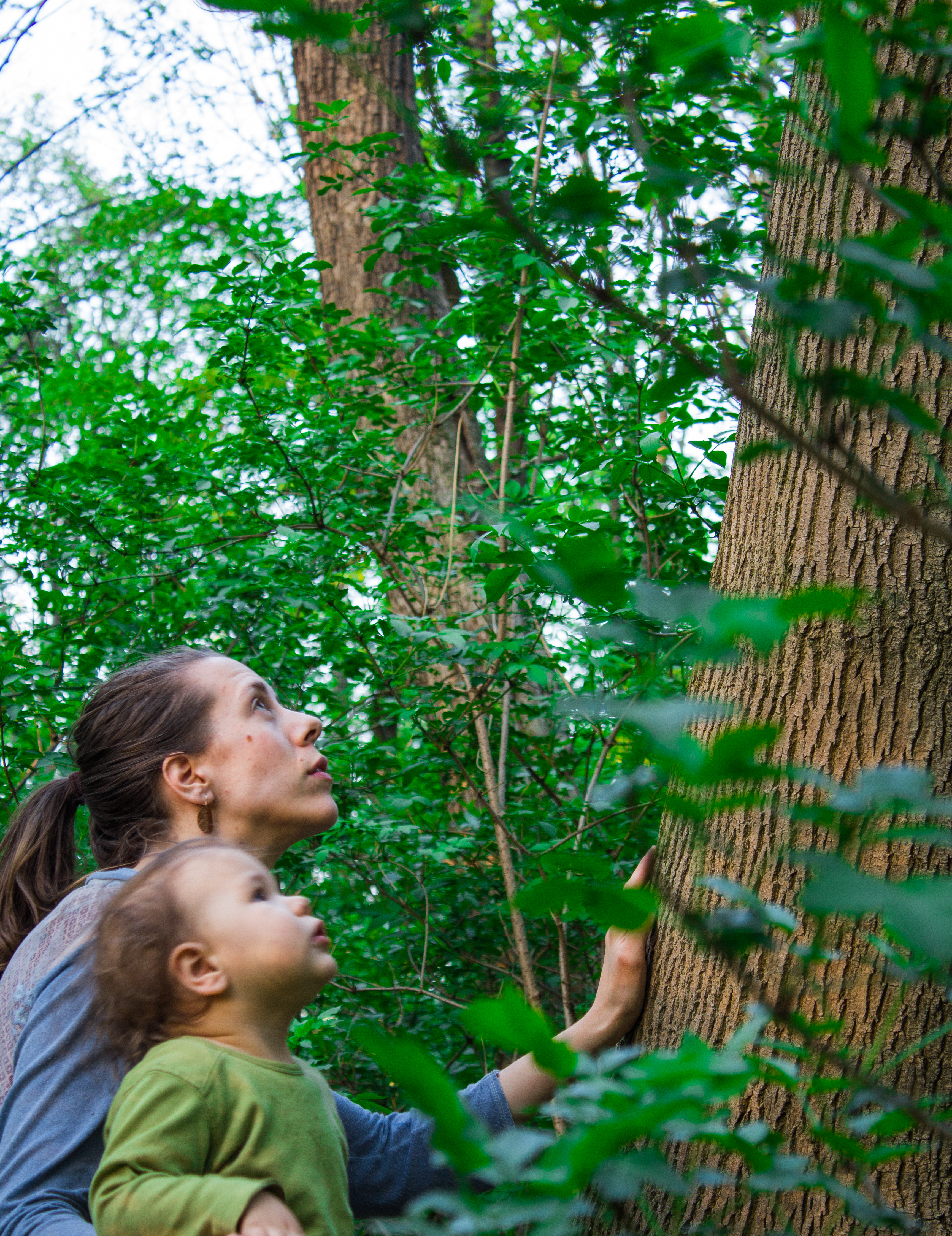 ramson (1 von 1)-14.jpg