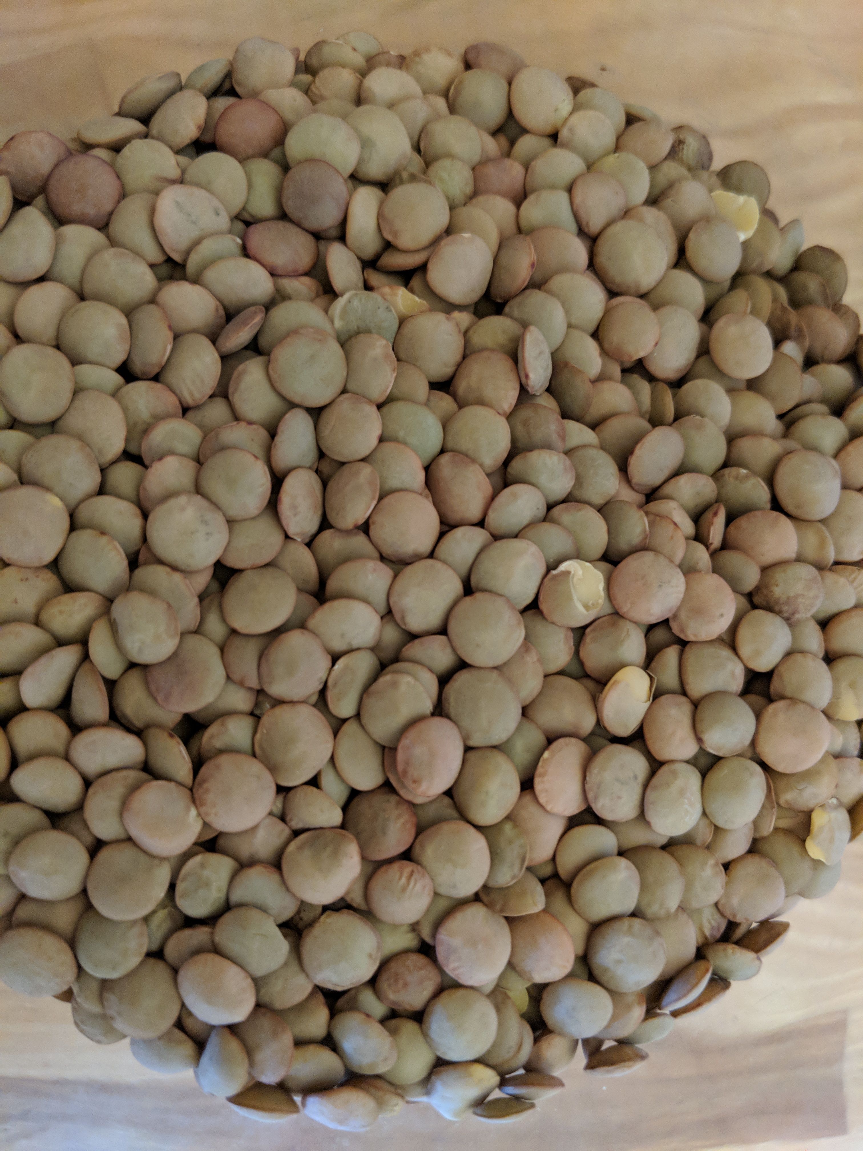 lentils.uncooked4.jpg