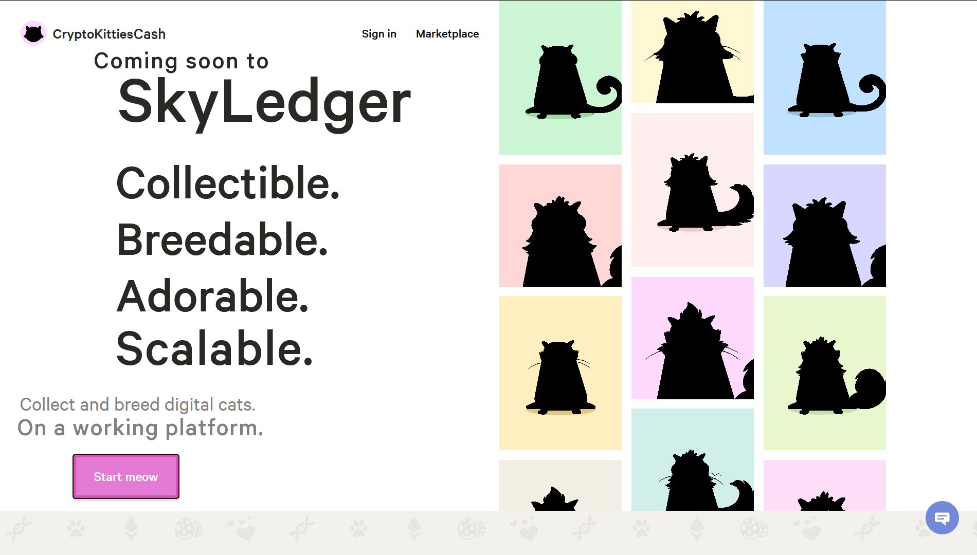 skyledger kitti.jpg