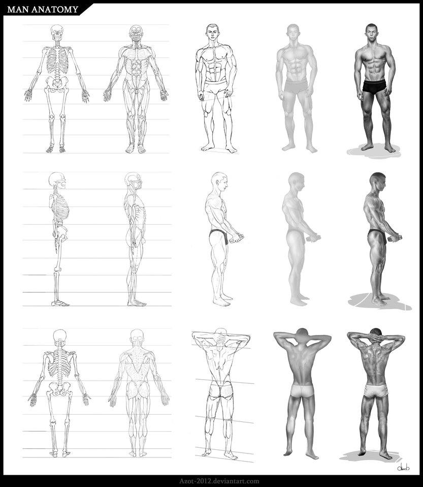 sketches of human anatomy  how to sketches step by step 