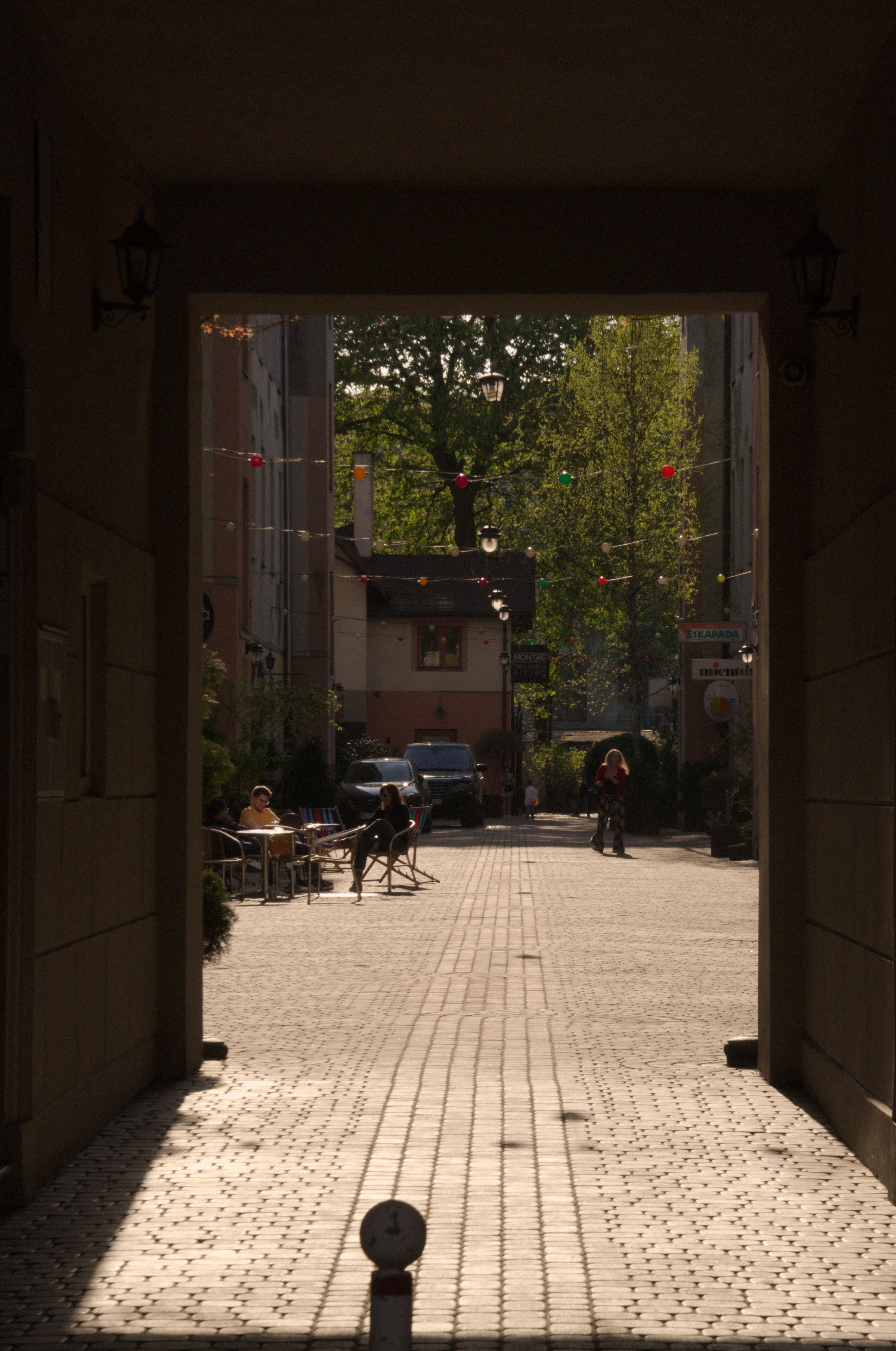 DSC_0109.jpg