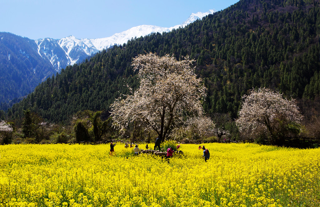 Adventures in Tibet 6.jpg