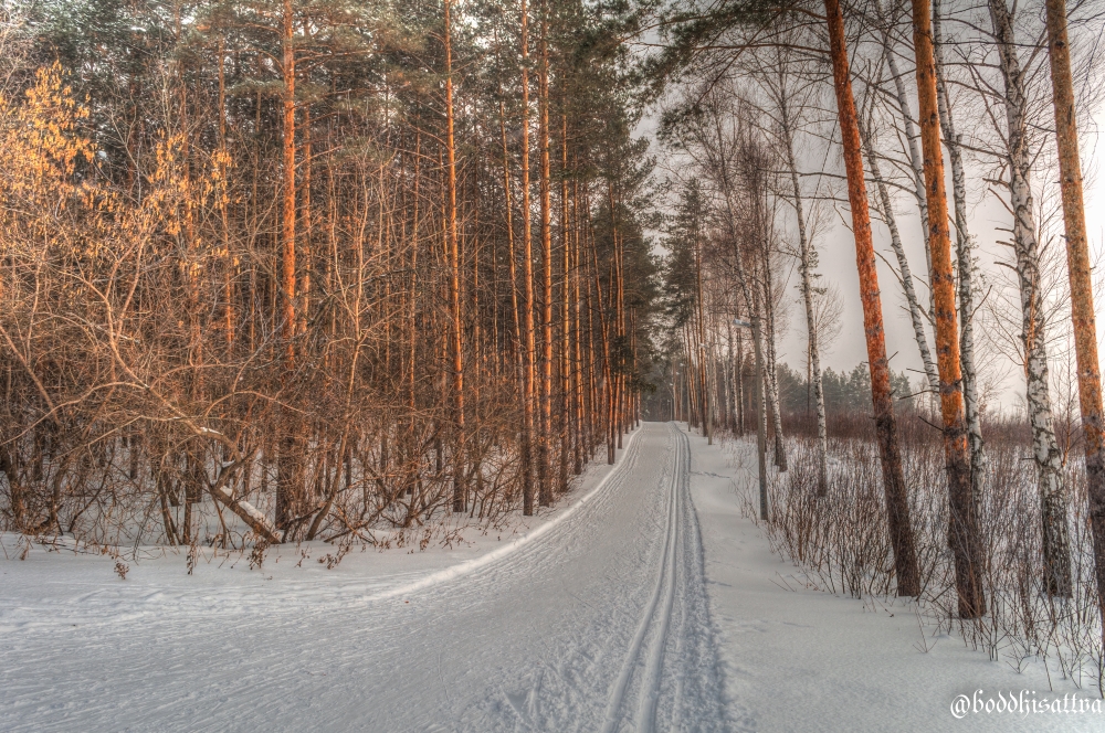 DSC_4084_tonemapped.jpg