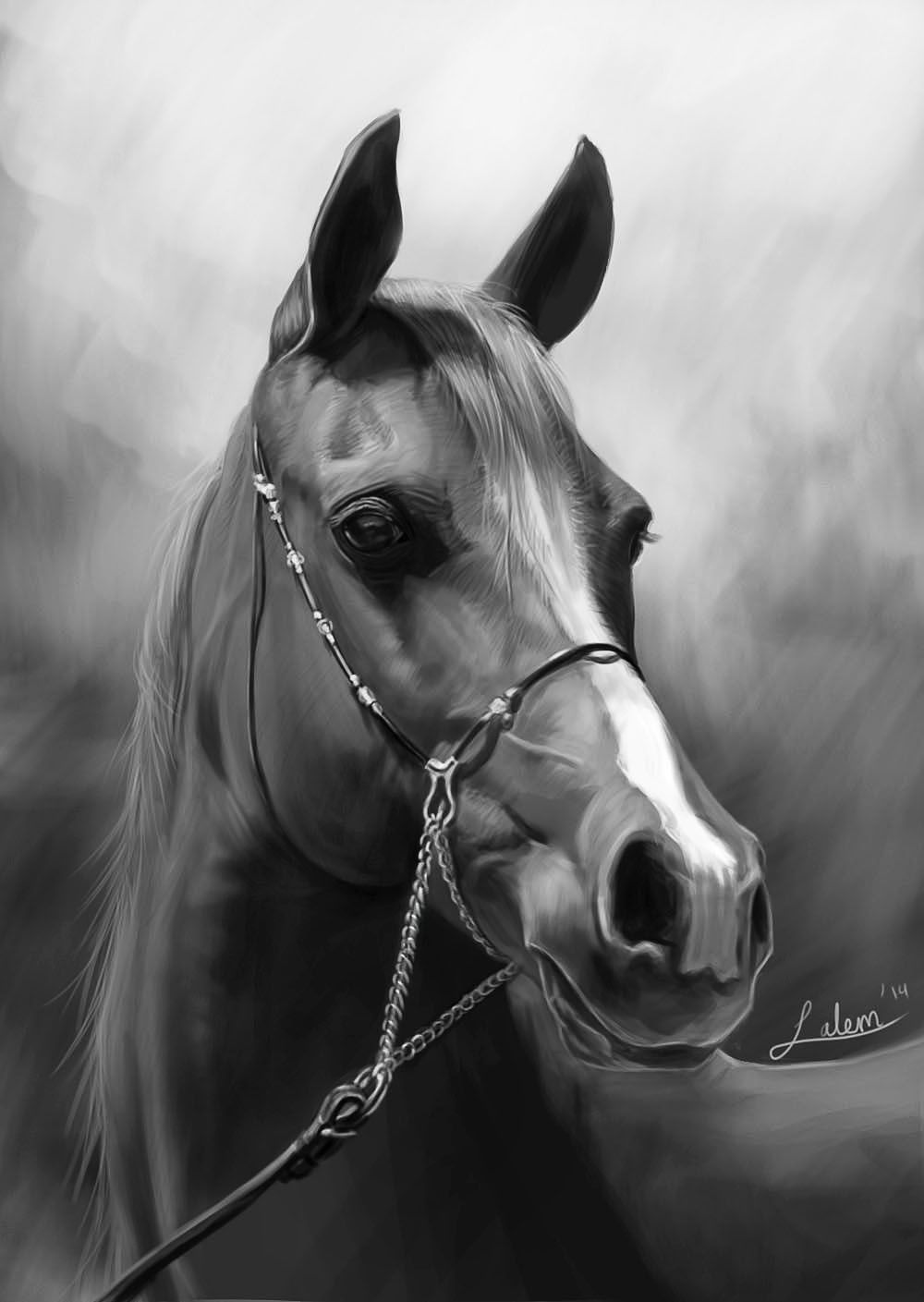 Horse study 3f.jpg