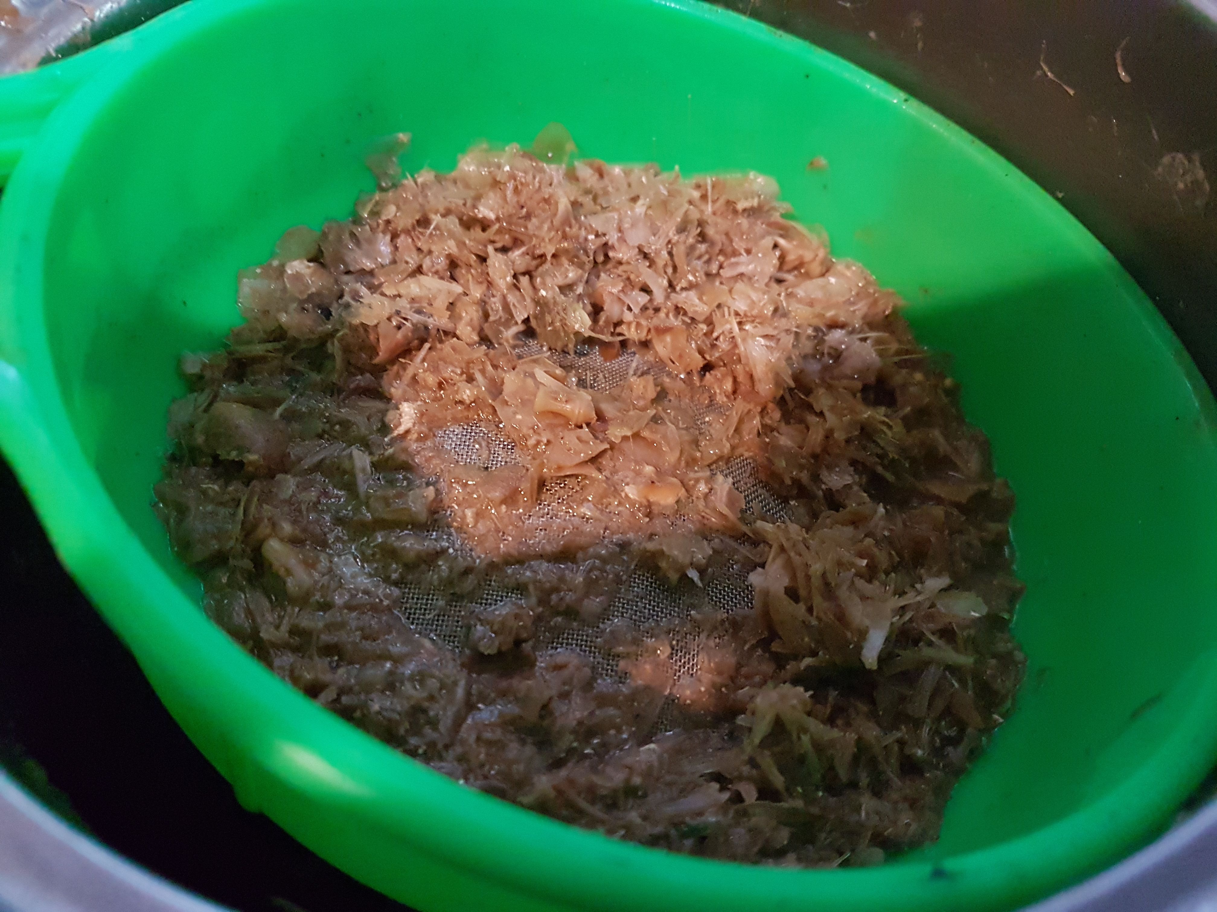 20180419_124204.jpg