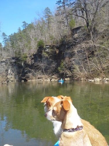 20150412_142136.jpg