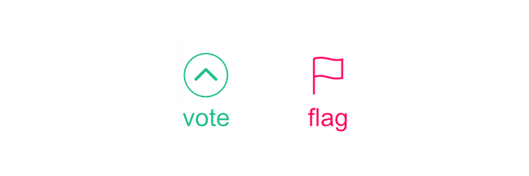 vote 和 flag