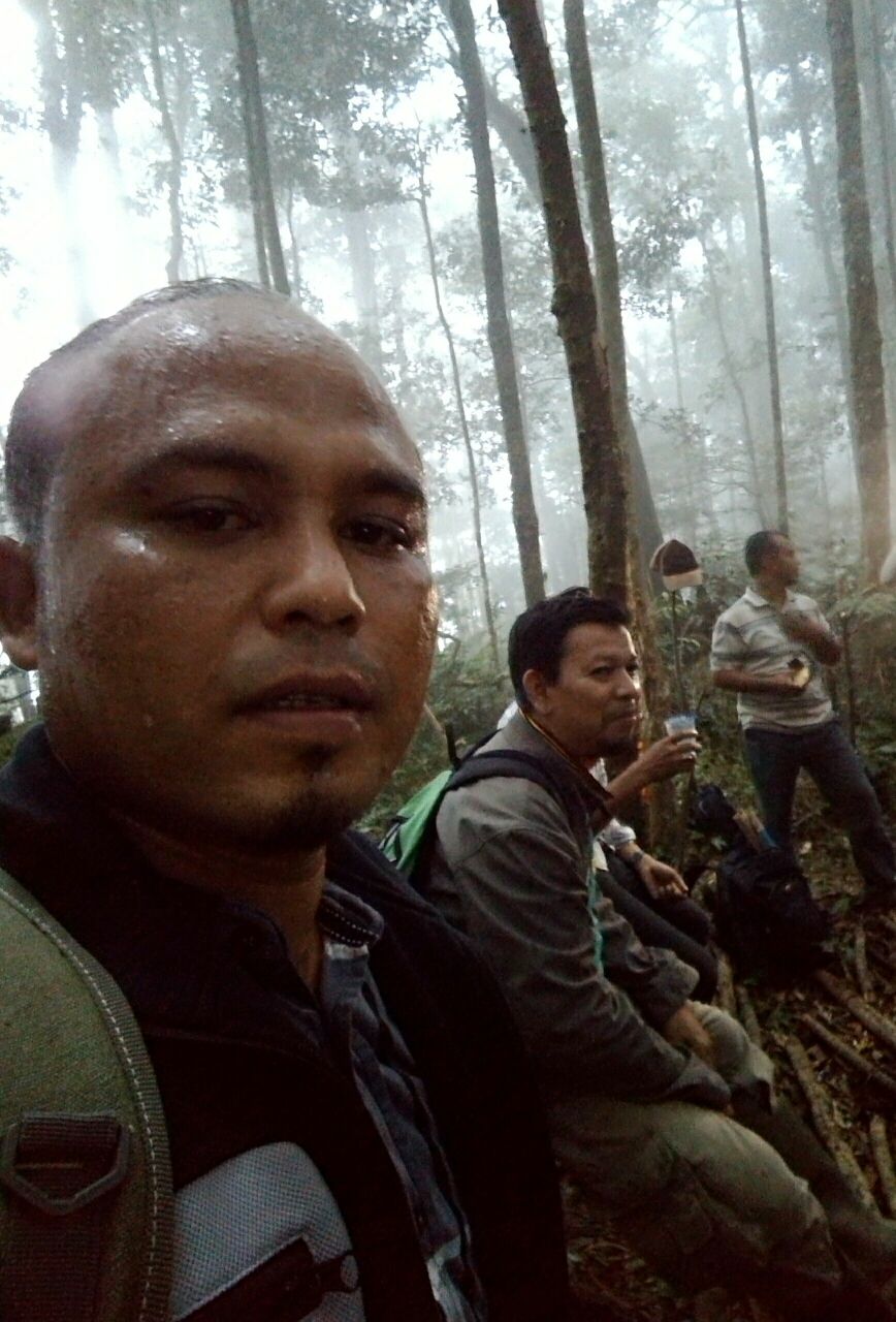 Hutan.jpg