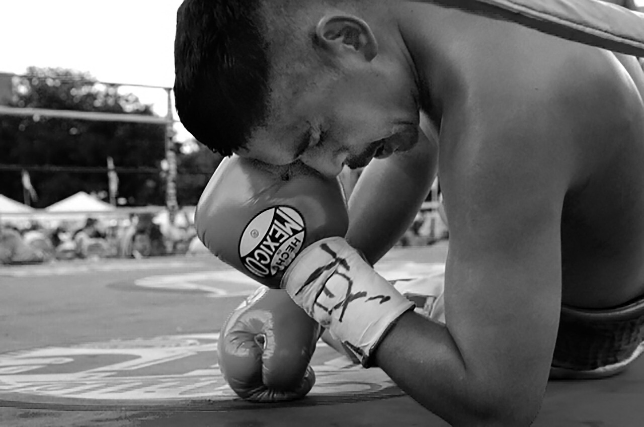 boxer-1430490_1280.jpg