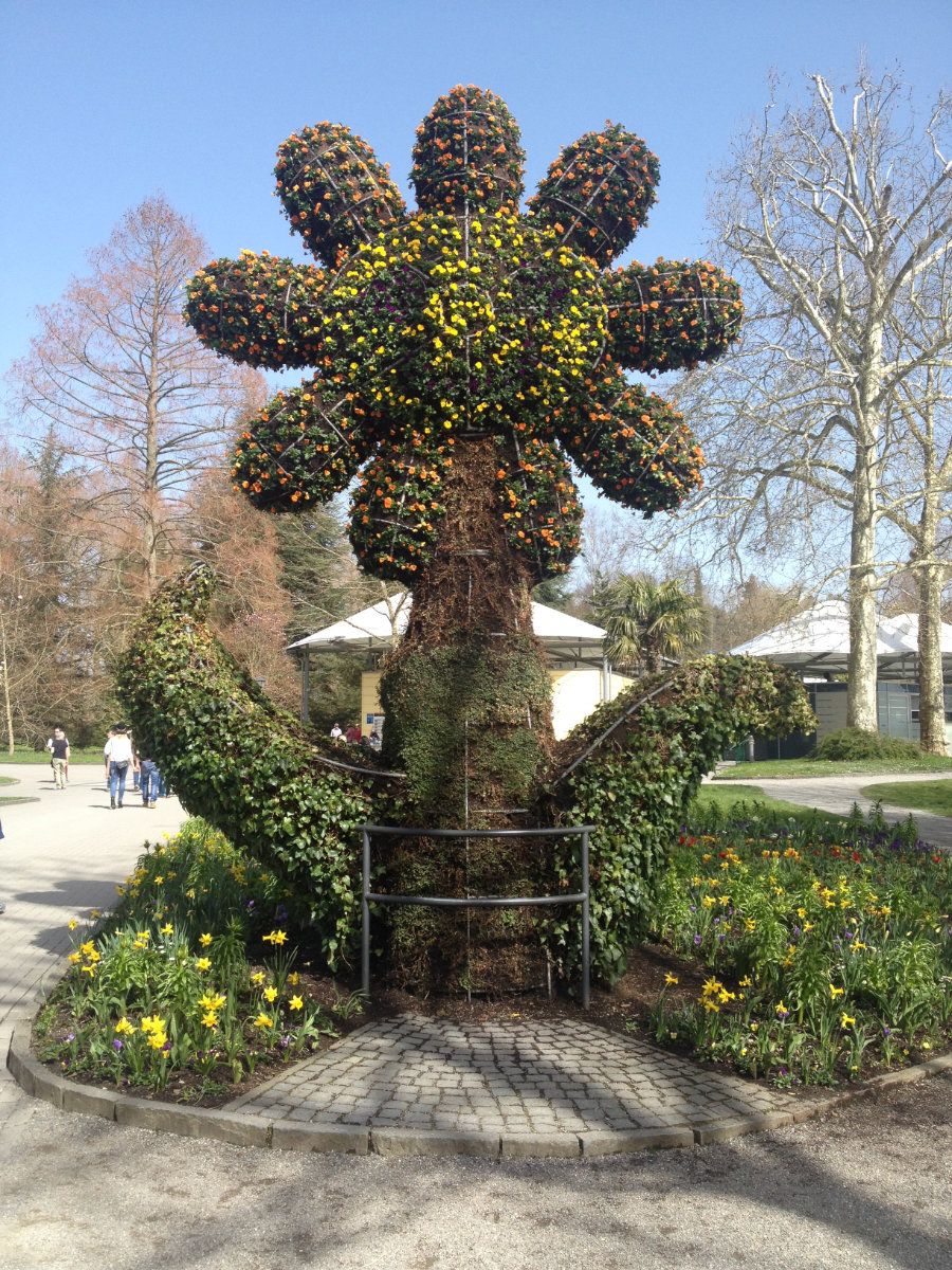 mainau_003.jpg