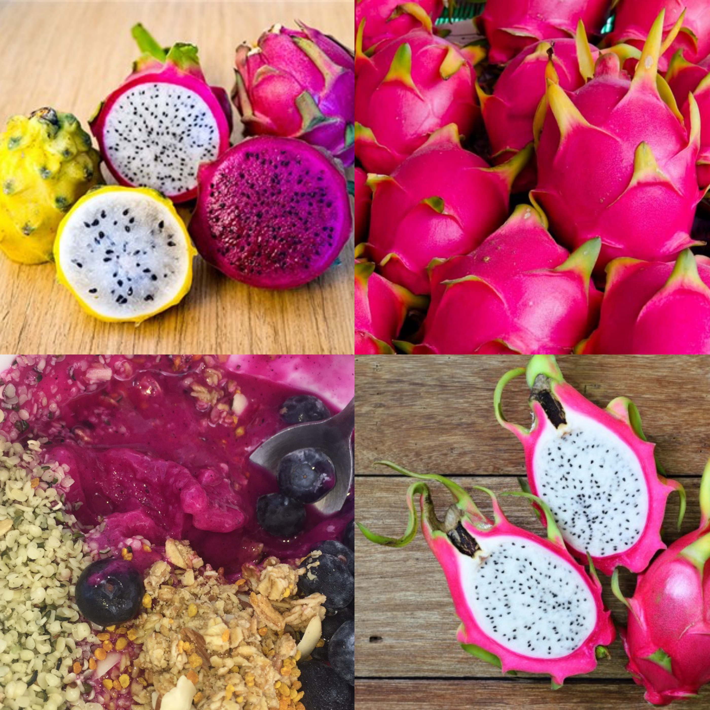 dragonfruit-collage.jpg