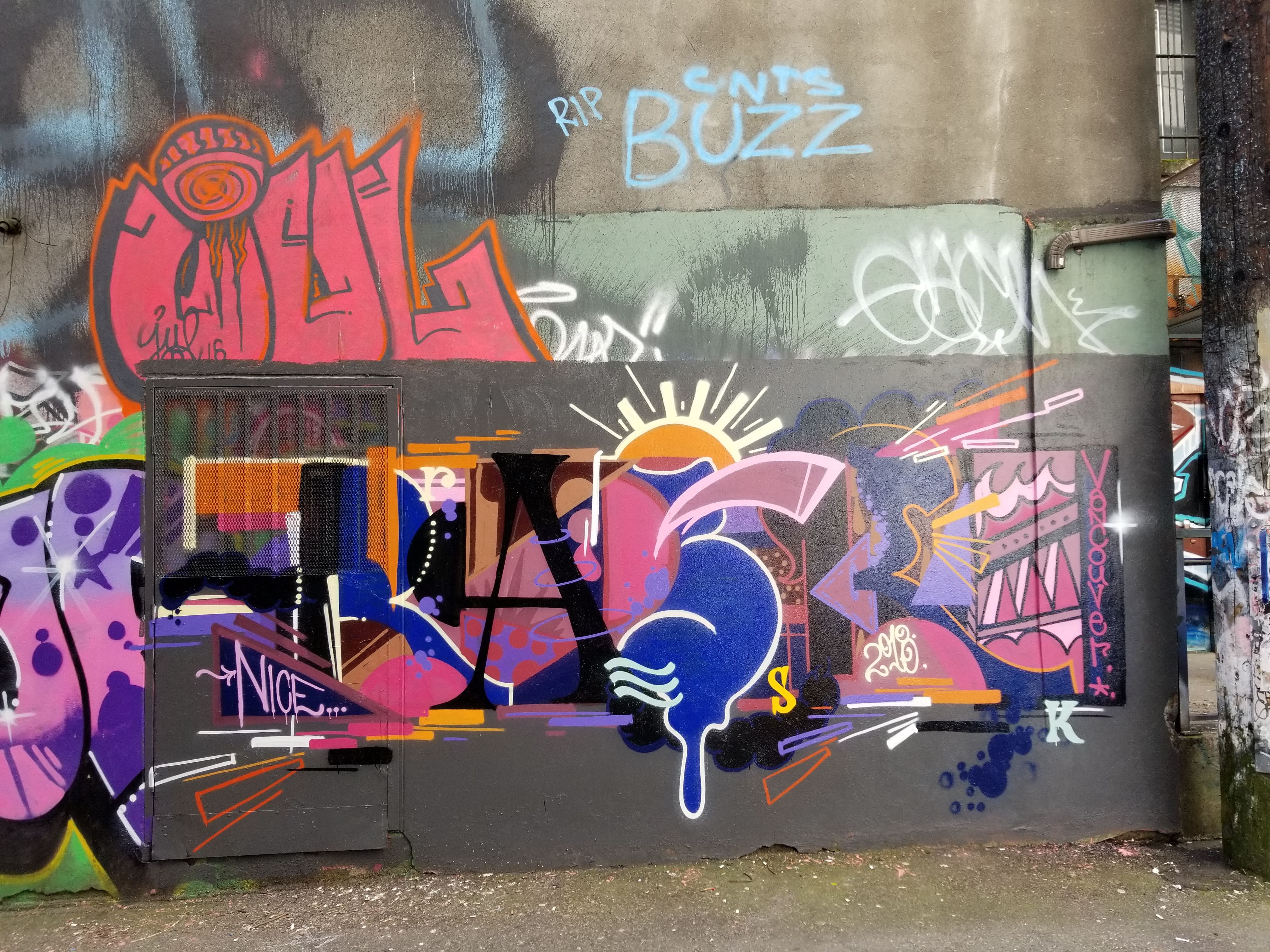 20180423_155234.jpg
