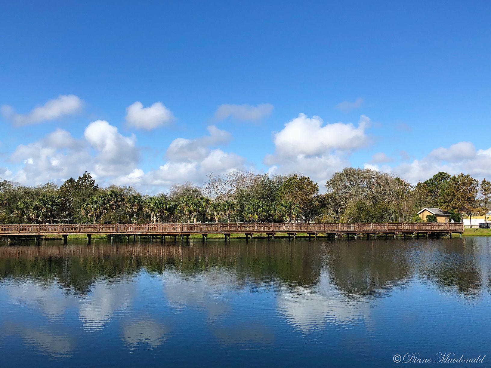 Bird Island-6.jpg