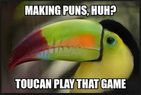 toucan-play.jpg