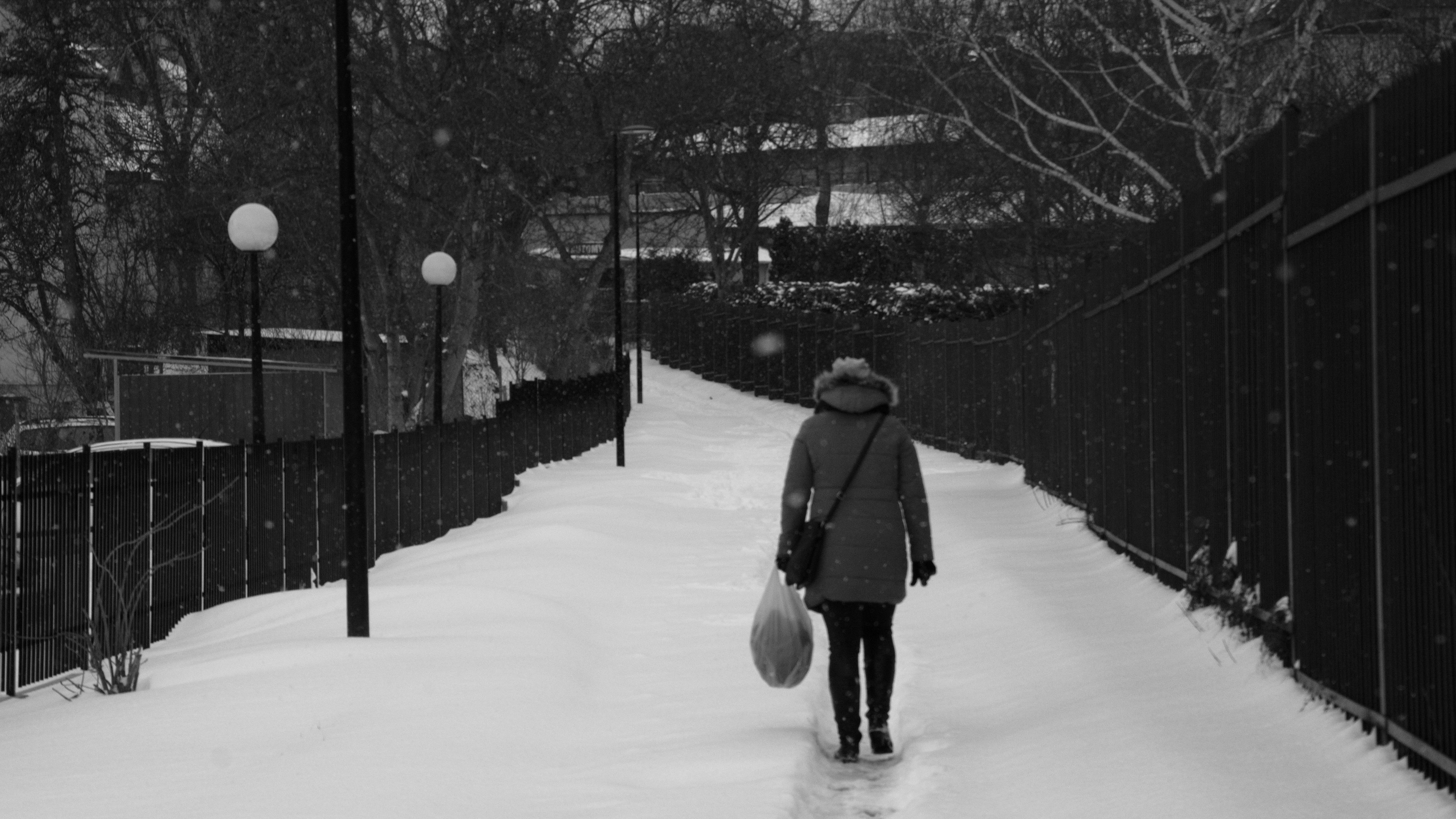 DSC_0456.NEF.jpg