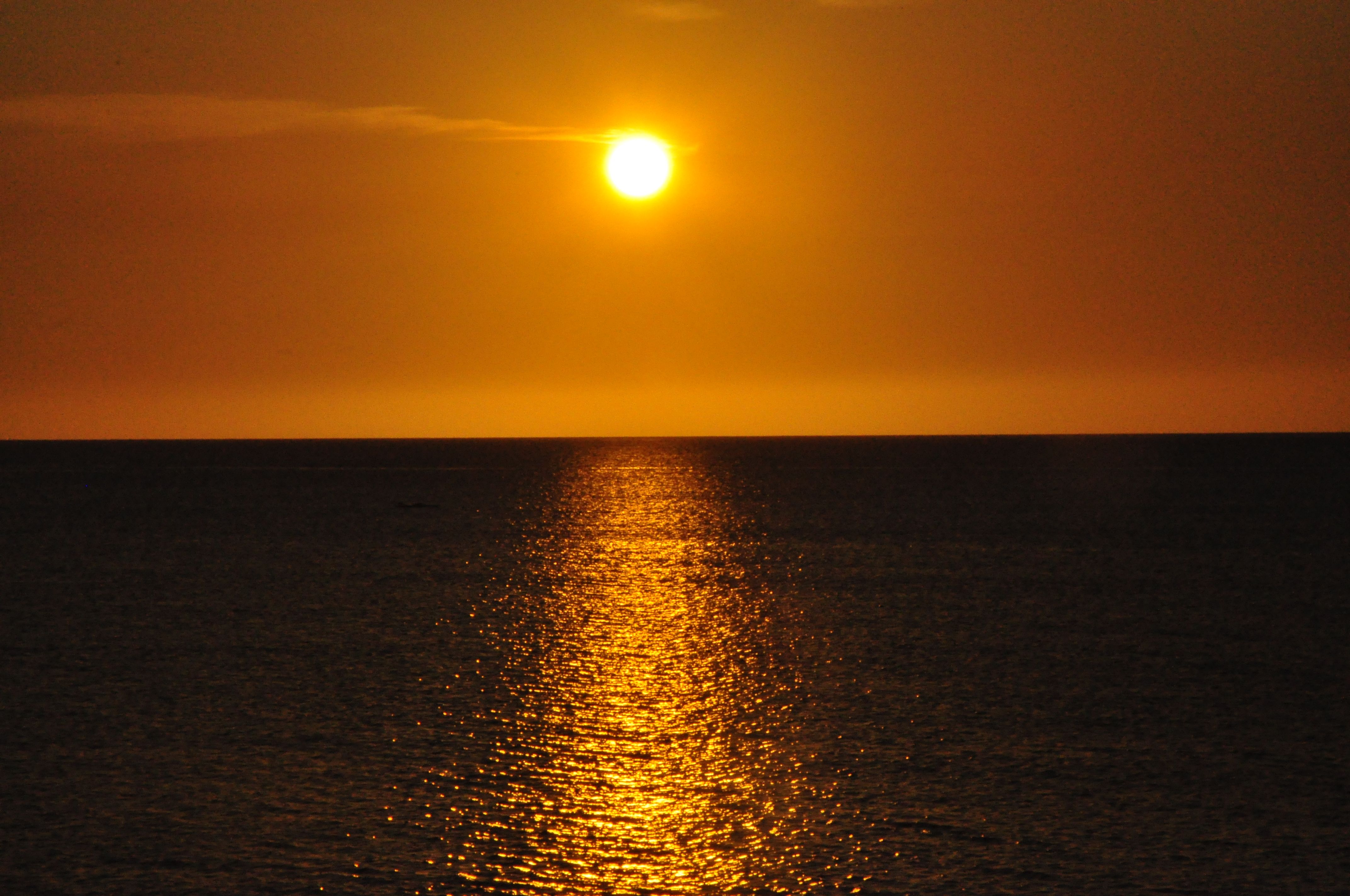 DSC_0784.JPG