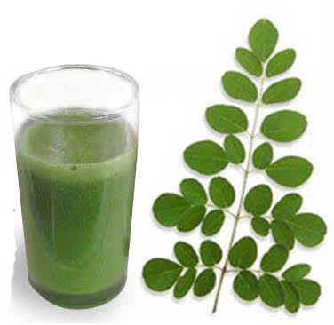 Moringa Leaves Juice Recipe For Weight Loss Natural Energy Hub