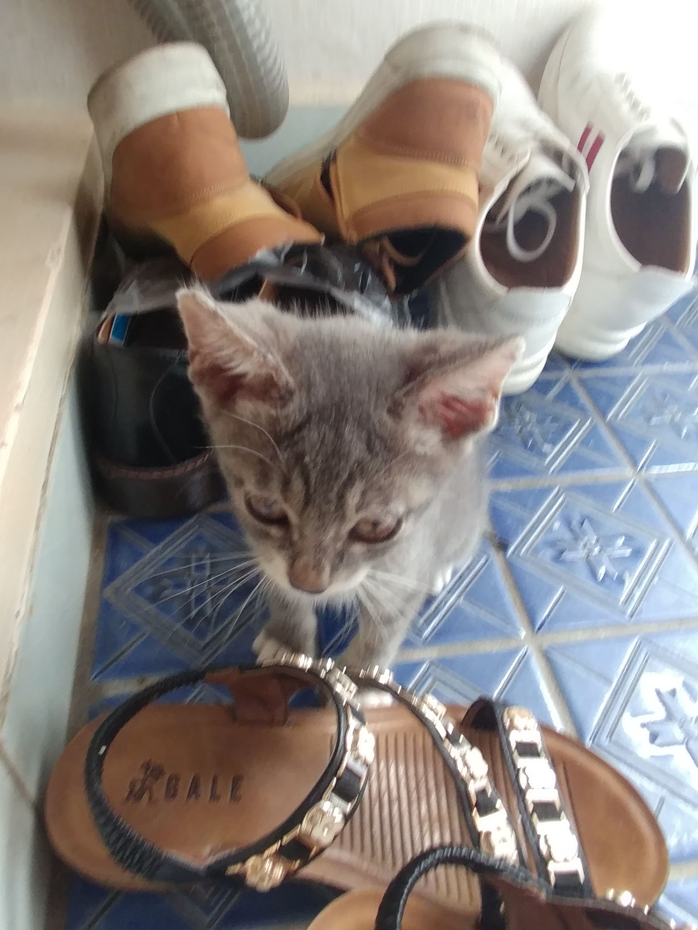 20170802_130225_HDR.jpg