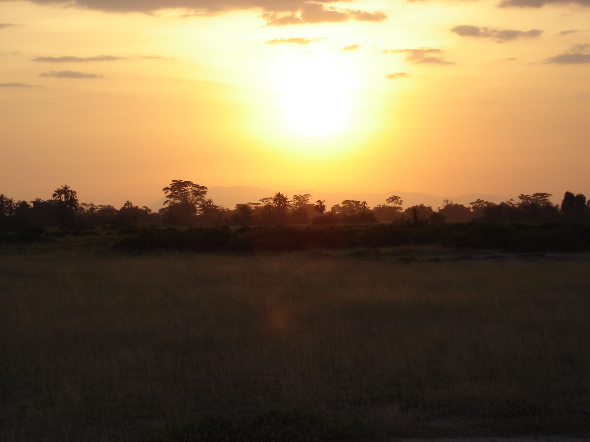 Sunset in Amboseli.jpg