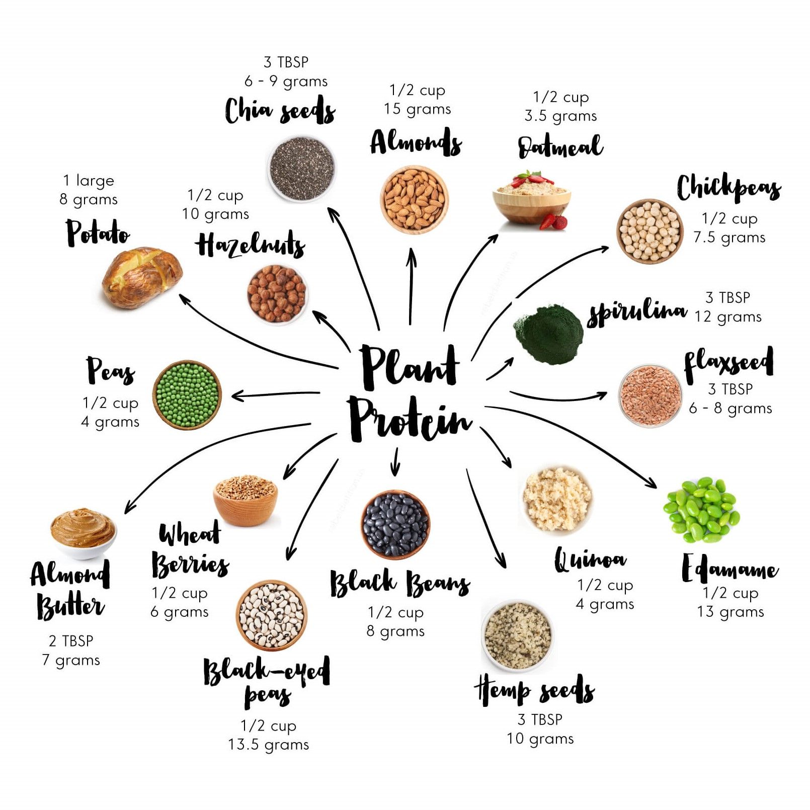top-sources-of-plant-based-protein1.jpg