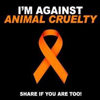agains animal cruelty.jpg