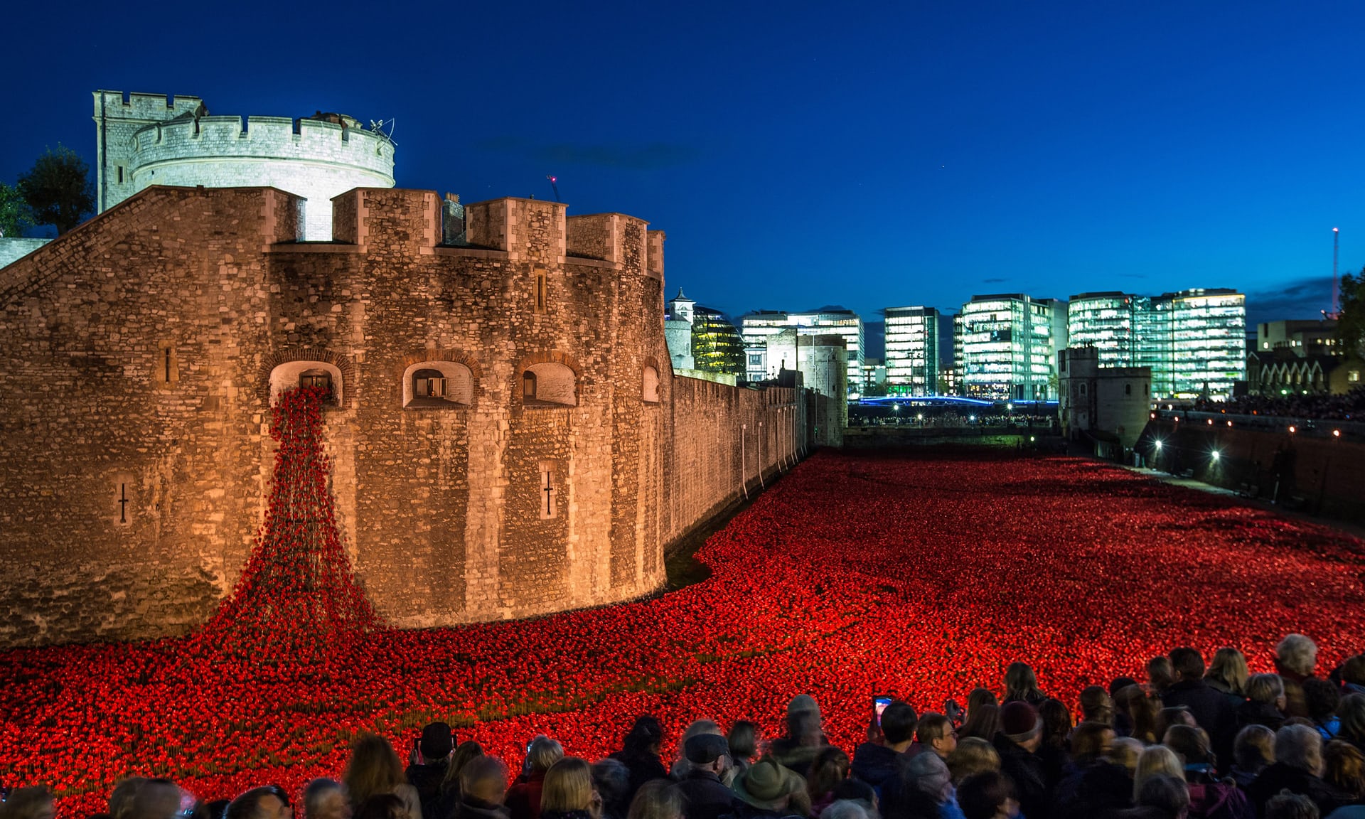 Стою на крепости. Красная башня в Лондоне. Blood Swept Lands and Seas of Red. Фото 2014 Blood Swept Lands and Seas of Red Тауэр. Tower and Poppy.