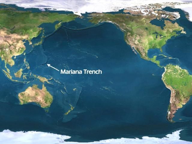 Mariana Trench.jpg