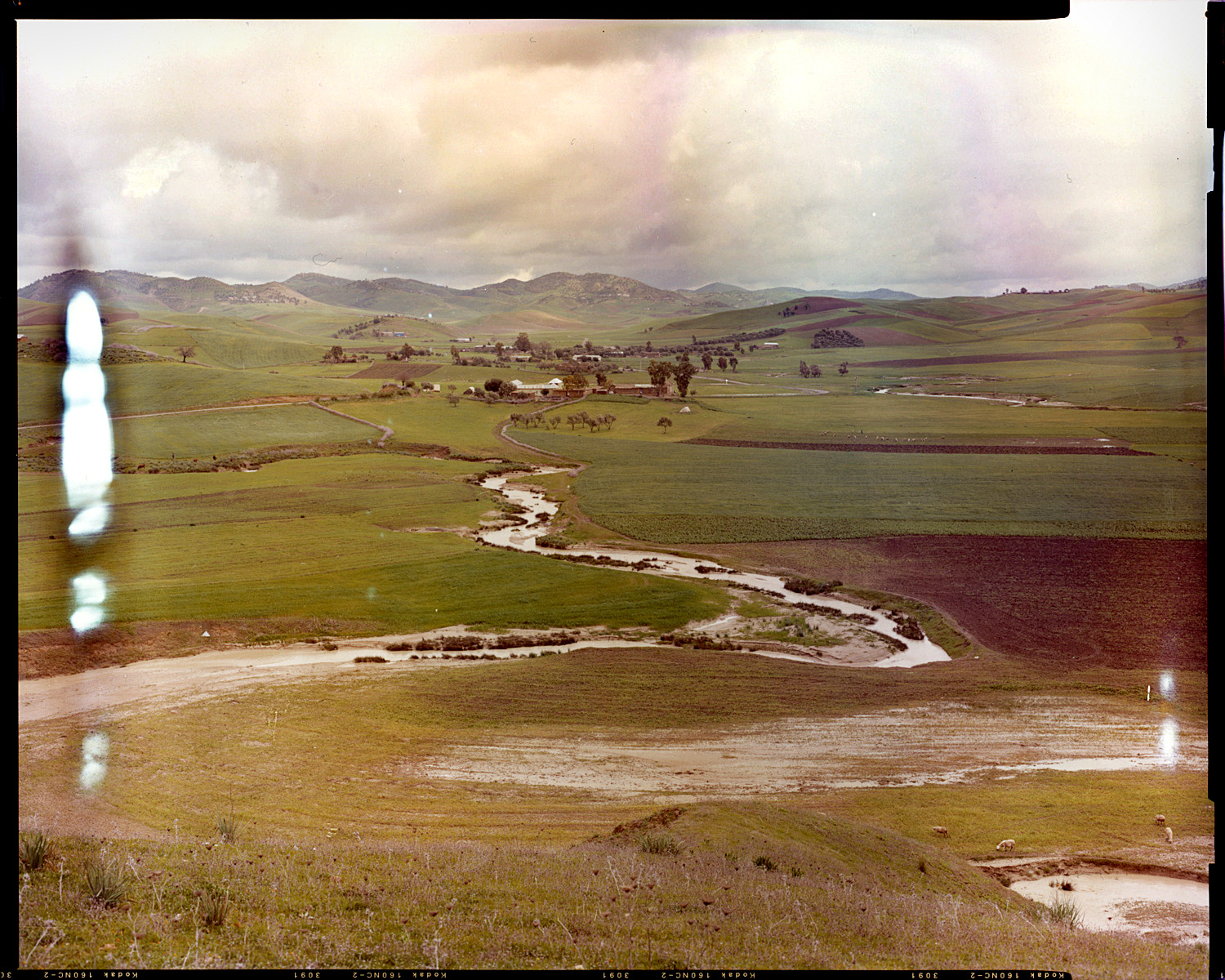 R501_05.jpg