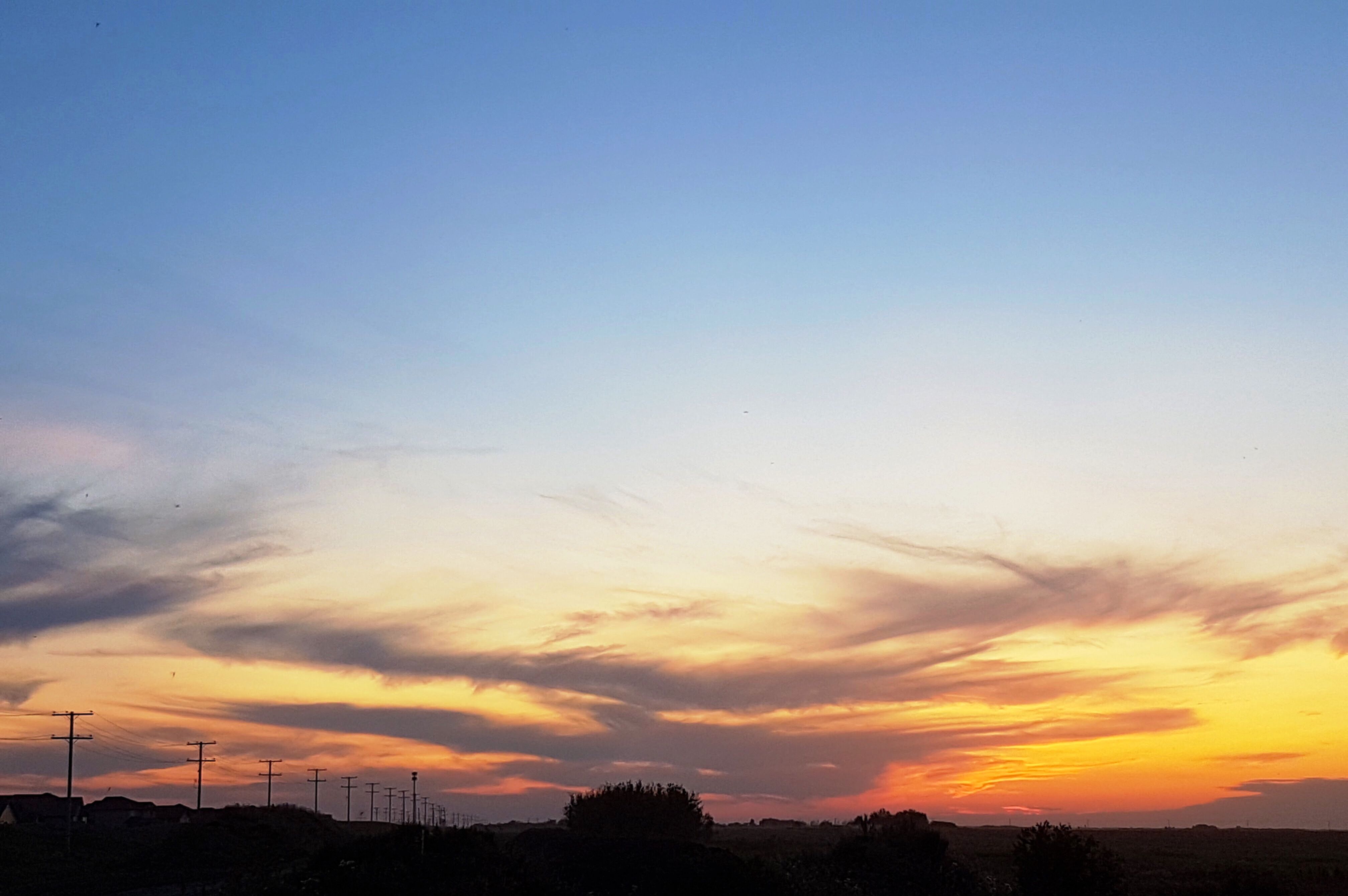 AA143C21-1E17-408C-9ED8-F823CB662E9A.jpeg