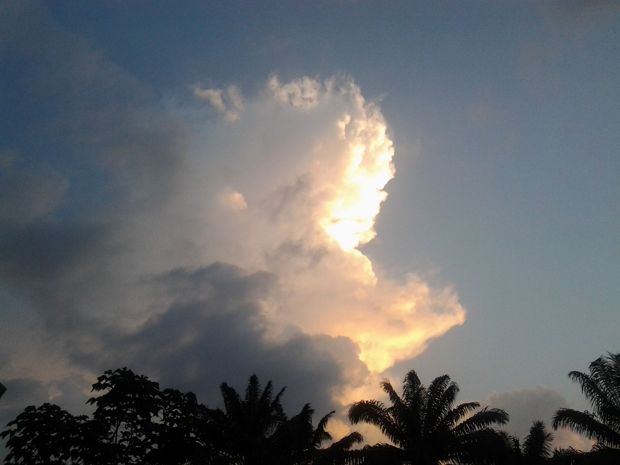 20161123_181338.jpg