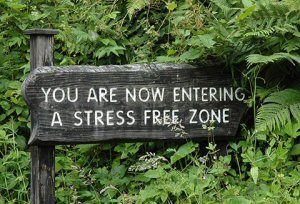 stress.jpg
