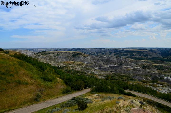 dry island buffalo jump4.jpg
