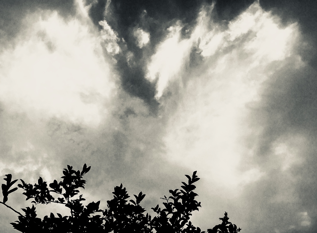 00396907-91B6-46E9-8B39-E49B77CEA16E.jpeg