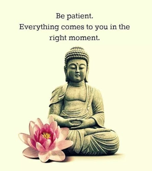 Buddha%2520Quotes%2520best%2520famous%2520pics%2520images%2520ideas%2520%2520%252847%2529.jpg
